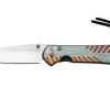 Chris Reeve Small Sebenza 31 Unique Graphic Drop Point 2023 S31-1400-23-E Pocket Knife