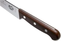 Victorinox Wood 5.2930.22G Bread Knife/pastry Knife 22 Cm, Maple Wood -Knife Shop VT5 2930 22G 05 victorinox
