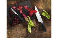Zwilling Pro Paring Knife, 38400-091 15 Zwilling Pro Paring Knife, 38400-091 -Knife Shop pro1